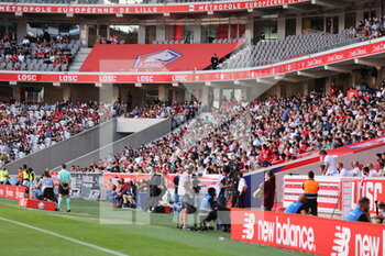 2021-08-14 - Ambiance during the French championship Ligue 1 football match between LOSC Lille and OGC Nice on August 14, 2021 at Pierre Mauroy stadium in Villeneuve-d'Ascq near Lille, France - Photo Laurent Sanson / LS Medianord / DPPI - LOSC LILLE VS OGC NICE - FRENCH LIGUE 1 - SOCCER