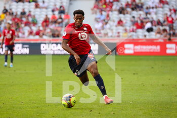 2021-08-14 - Jonathan DAVID 9 LOSC during the French championship Ligue 1 football match between LOSC Lille and OGC Nice on August 14, 2021 at Pierre Mauroy stadium in Villeneuve-d'Ascq near Lille, France - Photo Laurent Sanson / LS Medianord / DPPI - LOSC LILLE VS OGC NICE - FRENCH LIGUE 1 - SOCCER