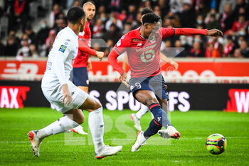 2021-11-06 - Jonathan DAVID of Lille during the French championship Ligue 1 football match between LOSC Lille and SCO Angers on November 6, 2021 at Pierre Mauroy stadium in Villeneuve-d'Ascq near Lille, France - LOSC LILLE VS SCO ANGERS - FRENCH LIGUE 1 - SOCCER