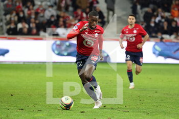 2021-11-06 - Timothy WEAH 22 LOSC during the French championship Ligue 1 football match between LOSC Lille and SCO Angers on November 6, 2021 at Pierre Mauroy stadium in Villeneuve-d'Ascq near Lille, France - LOSC LILLE VS SCO ANGERS - FRENCH LIGUE 1 - SOCCER