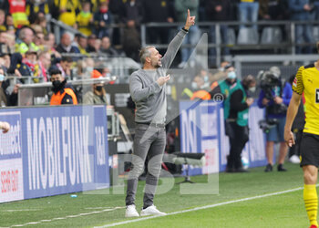 2021-10-30 - Borussia Dortmund coach Marco Rose during the German championship Bundesliga football match between Borussia Dortmund and FC Koln on October 30, 2021 at Signal Iduna Park in Dortmund, Germany - BORUSSIA DORTMUND VS FC KOLN - GERMAN BUNDESLIGA - SOCCER