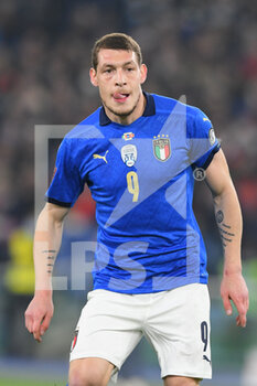 2021-11-12 - ROME, ITALY -  November 12 :  Andrea Belotti of Italy in Action during the World Cup Qualifiers Group C soccer match between  Italy and Svizzera  at Stadio Olimpico on November 12,2021 in Rome,Italy - FIFA WORLD CUP QATAR 2022 QUALIFIERS - ITALY VS SWITZERLAND - FIFA WORLD CUP - SOCCER