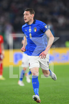 2021-11-12 - ROME, ITALY -  November 12 :  Andrea Belotti  of Italy in Action during the World Cup Qualifiers Group C soccer match between  Italy and Svizzera  at Stadio Olimpico on November 12,2021 in Rome,Italy - FIFA WORLD CUP QATAR 2022 QUALIFIERS - ITALY VS SWITZERLAND - FIFA WORLD CUP - SOCCER