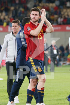 2021-11-14 - Aymeric Laporte of Spain celebrates after the FIFA World Cup 2022, Qualifiers Group B football match between Spain and Sweden on November 14, 2021 at La Cartuja stadium in Sevilla, Spain - FIFA WORLD CUP 2022, QUALIFIERS GROUP B - SPAIN VS SWEDEN - FIFA WORLD CUP - SOCCER