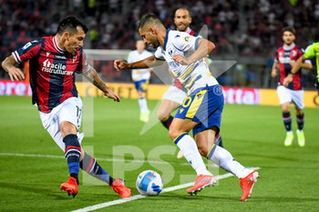 Bologna FC vs Hellas Verona FC - ITALIAN SERIE A - SOCCER