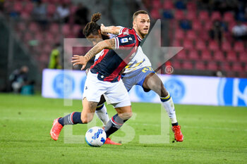 2021-09-13 - Marko Arnautovic (Bologna) in action against Adrien Tamèze (Verona) - BOLOGNA FC VS HELLAS VERONA FC - ITALIAN SERIE A - SOCCER