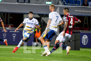 2021-09-13 - Davide Faraoni (Verona) carries the ball to Antonin Barak (Verona) hindered by Kevin Bonifazi (Bologna) - BOLOGNA FC VS HELLAS VERONA FC - ITALIAN SERIE A - SOCCER