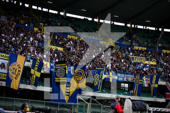 2021-09-19 - Fans of Verona - HELLAS VERONA FC VS AS ROMA - ITALIAN SERIE A - SOCCER