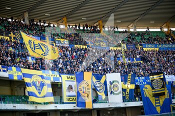 2021-10-24 - Fans of Verona - HELLAS VERONA FC VS SS LAZIO - ITALIAN SERIE A - SOCCER