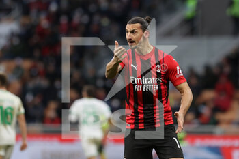2021-11-28 - Zlatan Ibrahimovic of AC Milan reacts during the Serie A 2021/22 football match between AC Milan and US Sassuolo at Giuseppe Meazza Stadium, Milan, Italy on November 28, 2021 - AC MILAN VS US SASSUOLO - ITALIAN SERIE A - SOCCER