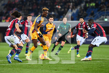 Bologna FC vs AS Roma - ITALIAN SERIE A - SOCCER