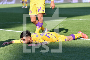 2021-12-05 - Foul on Nicolas Gonzalez (Fiorentina) - BOLOGNA FC VS ACF FIORENTINA - ITALIAN SERIE A - SOCCER