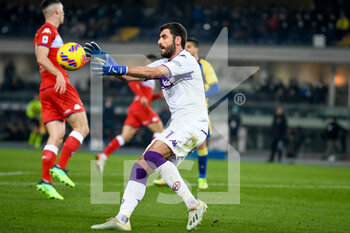 2021-12-22 - Fiorentina's Pietro Terracciano saves a goal - HELLAS VERONA FC VS ACF FIORENTINA - ITALIAN SERIE A - SOCCER