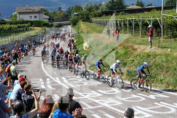 12/09/2021 - The group uphill in Trento - UEC ROAD EUROPEAN CHAMPIONSHIPS - ELITE MEN ROAD RACE - STRADA - CICLISMO
