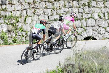 04/09/2021 - Samuele Zoccarato (Bardiani CSF Faizané) Gabriele Petrelli (Cycling Team Friuli) e Riccardo Verza (Zalf Eromobil Désireé Fior) - GIRO DELLA REGIONE FVG ELITE E UNDER 23 - 2° TAPPA - CASARSA DELLA DELIZIA (PN) - PIANCAVALLO (PN) - STRADA - CICLISMO