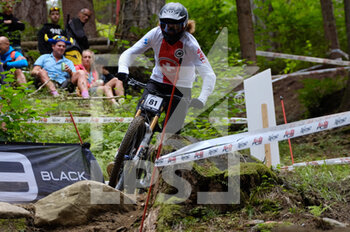 2021-08-29 - (81) - Lino Lehmann (Switzerland) - UCI MTB WORLD CHAMPIONSHIP - DOWNHILL - ELITE MEN RACE - MTB - MOUNTAIN BIKE - CYCLING
