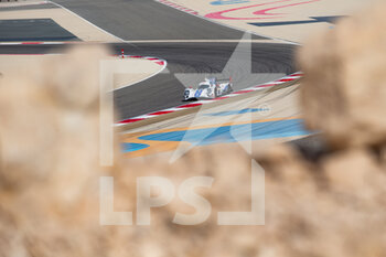 2021-10-30 - 21 Hedman Henrik (swe), Montoya Juan-Pablo (col), Hanley Ben (gbr), Dragonspeed USA, Oreca 07 - Gibson, action during the 6 Hours of Bahrain, 5th round of the 2021 FIA World Endurance Championship, FIA WEC, on the Bahrain International Circuit, from October 28 to 30, 2021 in Sakhir, Bahrain - 6 HOURS OF BAHRAIN, 5TH ROUND OF THE 2021 FIA WORLD ENDURANCE CHAMPIONSHIP, FIA WEC - ENDURANCE - MOTORS