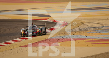 2021-10-30 - 38 Gonzalez Roberto (mex), Da Costa Antonio Felix (prt), Davidson Anthony (gbr), Jota, Oreca 07 - Gibson, action during the 6 Hours of Bahrain, 5th round of the 2021 FIA World Endurance Championship, FIA WEC, on the Bahrain International Circuit, from October 28 to 30, 2021 in Sakhir, Bahrain - 6 HOURS OF BAHRAIN, 5TH ROUND OF THE 2021 FIA WORLD ENDURANCE CHAMPIONSHIP, FIA WEC - ENDURANCE - MOTORS
