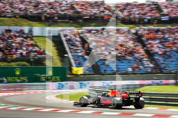 2021-07-31 - 33 VERSTAPPEN Max (nld), Red Bull Racing Honda RB16B, action during the Formula 1 Magyar Nagydij 2021, Hungarian Grand Prix, 11th round of the 2021 FIA Formula One World Championship from July 30 to August 1, 2021 on the Hungaroring, in Mogyorod, near Budapest, Hungary - Photo Antonin Vincent / DPPI - FORMULA 1 MAGYAR NAGYDIJ 2021, HUNGARIAN GRAND PRIX - FORMULA 1 - MOTORS