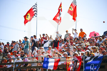 2021-07-31 - spectators, fans against Lewis Hamilton during the Formula 1 Magyar Nagydij 2021, Hungarian Grand Prix, 11th round of the 2021 FIA Formula One World Championship from July 30 to August 1, 2021 on the Hungaroring, in Mogyorod, near Budapest, Hungary - Photo DPPI - FORMULA 1 MAGYAR NAGYDIJ 2021, HUNGARIAN GRAND PRIX - FORMULA 1 - MOTORS