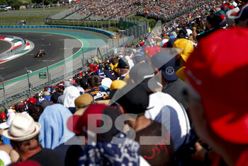 2021-07-31 - spectators, fans 33 VERSTAPPEN Max (nld), Red Bull Racing Honda RB16B, action during the Formula 1 Magyar Nagydij 2021, Hungarian Grand Prix, 11th round of the 2021 FIA Formula One World Championship from July 30 to August 1, 2021 on the Hungaroring, in Mogyorod, near Budapest, Hungary - Photo DPPI - FORMULA 1 MAGYAR NAGYDIJ 2021, HUNGARIAN GRAND PRIX - FORMULA 1 - MOTORS