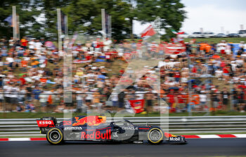 2021-08-01 - 33 VERSTAPPEN Max (nld), Red Bull Racing Honda RB16B, action during the Formula 1 Magyar Nagydij 2021, Hungarian Grand Prix, 11th round of the 2021 FIA Formula One World Championship from July 30 to August 1, 2021 on the Hungaroring, in Mogyorod, near Budapest, Hungary - Photo DPPI - FORMULA 1 MAGYAR NAGYDIJ 2021, HUNGARIAN GRAND PRIX - FORMULA 1 - MOTORS