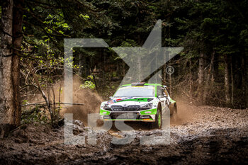 2021-09-12 - 20 Mikkelsen Andreas (nor), Edmondson Elliot (gbr), Toksport WRT, Skoda Fabia Evo, action during the 2021 Acropolis Rally Greece, 9th round of the 2021 FIA WRC, FIA World Rally Championship, from September 9 to 12, 2021 in Lamia, Greece - 2021 ACROPOLIS RALLY GREECE, 9TH ROUND OF THE 2021 FIA WRC, FIA WORLD RALLY CHAMPIONSHIP - RALLY - MOTORS