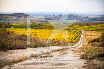 2021-10-21 - Landscape Illustration Recce Reconnaissances during the 2021 FIA ERC Rally Hungary, 7th round of the 2021 FIA European Rally Championship, from October 21 to 24, 2021 in Nyiregyhaza, Hungary - 2021 FIA ERC RALLY HUNGARY, 7TH ROUND OF THE 2021 FIA EUROPEAN RALLY CHAMPIONSHIP - RALLY - MOTORS