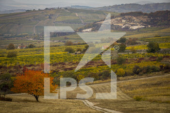 2021-10-21 - Landscape during the 2021 FIA ERC Rally Hungary, 7th round of the 2021 FIA European Rally Championship, from October 21 to 24, 2021 in Nyiregyhaza, Hungary - 2021 FIA ERC RALLY HUNGARY, 7TH ROUND OF THE 2021 FIA EUROPEAN RALLY CHAMPIONSHIP - RALLY - MOTORS