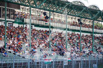 2021-08-22 - Fans in the grandstands during the 2021 FIA WTCR Race of Hungary, 4th round of the 2021 FIA World Touring Car Cup, Hungaroring, from August 20 to 22, 2021 in Budapest - Photo Florent Gooden / DPPI - 2021 FIA WTCR RACE OF HUNGARY, 4TH ROUND OF THE 2021 FIA WORLD TOURING CAR CUP - GRAND TOURISM - MOTORS