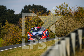 16/10/2021 - 08 Engstler Luca (ger), Engstler Hyundai N Liqui Moly Racing Team, Hyundai Elantra N TCR, action during the 2021 FIA WTCR Race of France, 6th round of the 2021 FIA World Touring Car Cup, on the Circuit Pau-Arnos, from October 16 to 17, 2021 in Arnos, France - 2021 FIA WTCR RACE OF FRANCE, 6TH ROUND OF THE 2021 FIA WORLD TOURING CAR CUP - TURISMO E GRAN TURISMO - MOTORI