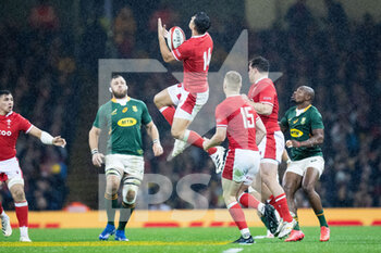 2021-11-06 - Louis Rees-Zammit of Wales goes for the high ball during the Autumn Nations Series 2021, rugby union test match between Wales and South Africa on November 6, 2021 at Principality Stadium in Cardiff, Wales - WALES VS SOUTH AFRICA - TEST MATCH - RUGBY