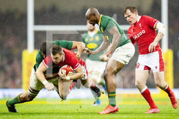 Wales vs South Africa - TEST MATCH - RUGBY
