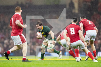 2021-11-06 - Kwagga Smith of South Africa during the Autumn Nations Series 2021, rugby union test match between Wales and South Africa on November 6, 2021 at Principality Stadium in Cardiff, Wales - WALES VS SOUTH AFRICA - TEST MATCH - RUGBY