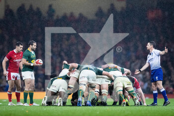 2021-11-06 - Cobus Reinach of South Africa waits to put in at the scrum during the Autumn Nations Series 2021, rugby union test match between Wales and South Africa on November 6, 2021 at Principality Stadium in Cardiff, Wales - WALES VS SOUTH AFRICA - TEST MATCH - RUGBY