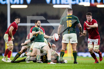 2021-11-06 - Cobus Reinach of South Africa during the Autumn Nations Series 2021, rugby union test match between Wales and South Africa on November 6, 2021 at Principality Stadium in Cardiff, Wales - WALES VS SOUTH AFRICA - TEST MATCH - RUGBY