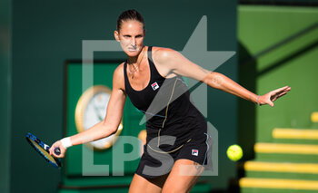 2021-10-09 - Karolina Pliskova of the Czech Republic in action during the third round at the 2021 BNP Paribas Open WTA 1000 tennis tournament against Beatriz Haddad Maia of Brazil on October 11, 2021 at Indian Wells Tennis Garden in Indian Wells, United States - 2021 BNP PARIBAS OPEN WTA 1000 TENNIS TOURNAMENT - INTERNATIONALS - TENNIS