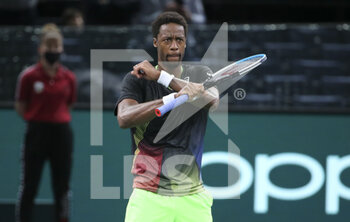 2021-11-02 - Gael Monfils of France celebrates his first round victory over over Miomir Kecmanovic of Serbia during day 2 of the Rolex Paris Masters 2021, an ATP Masters 1000 tennis tournament on November 2, 2021 at Accor Arena in Paris, France - ROLEX PARIS MASTERS 2021, AN ATP MASTERS 1000 TENNIS TOURNAMENT - INTERNATIONALS - TENNIS
