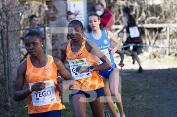 2022-01-30 - Zenah Jemutai YEGO (Kenia) and Teresiah Muthoni GATERI (Kenia) - WORLD CROSS COUNTRY TOUR - 90TH CINQUE MULINI 2022 - INTERNATIONALS - ATHLETICS