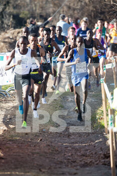 2022-01-30 - leading group during the first lap - WORLD CROSS COUNTRY TOUR - 90TH CINQUE MULINI 2022 - INTERNATIONALS - ATHLETICS