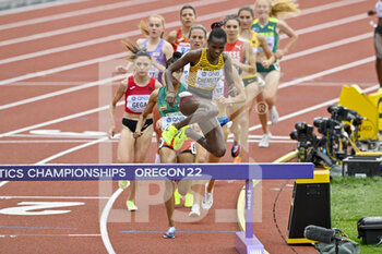 2022-07-16 - Peruth Chemutai of Uganda competing on Women's heats 3000 metres Steeplechase during the World Athletics Championships on July 16, 2022 in Eugene, United States - ATHLETICS - WORLD CHAMPIONSHIPS 2022 - INTERNATIONALS - ATHLETICS