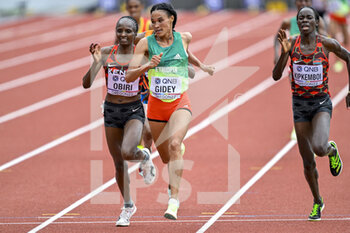 2022-07-16 - Letesenbet Gidey of Ethiopia Gold medal, Hellen Obiri of Kenya Silver medal, Margaret Chelimo Kipkemboi of Kenya Bronze medal competing on Women's 10.000 metres during the World Athletics Championships on July 16, 2022 in Eugene, United States - ATHLETICS - WORLD CHAMPIONSHIPS 2022 - INTERNATIONALS - ATHLETICS