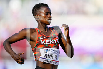 2022-07-21 - Naomi Korir of Kenya competing on Women's Heats 800m during the World Athletics Championships on July 21, 2022 in Eugene, United States - ATHLETICS - WORLD CHAMPIONSHIPS 2022 - INTERNATIONALS - ATHLETICS