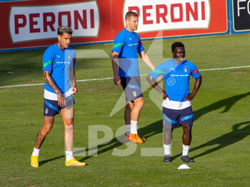 19/09/2022 - Italy´s Gianluca Scamacca, Wilfred Gnonto and Tommaso Pobega - PRESS CONFERENCE AND ITALY TRAINING SESSION - ALTRO - CALCIO