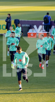 2022-11-16 - Brazil into the pitch - BRAZIL NATIONAL FOOTBALL TEAM TRAINING - OTHER - SOCCER