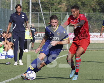 2022-07-30 - Thomas Henry of Hellas Verona battle for the ball with Charles Pickel of US Cremonese during Hellas Verona vs US Cremonese, 5° frendly match pre-season Serie A Tim 2022-23, at Centro Sportivo 