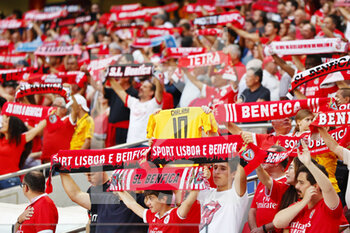 2022-08-23 - Sl Benfica supporters before the UEFA Champions League, Play-offs, 2nd leg football match between SL Benfica v Dynamo Kyiv on August 23, 2022 at Estadio da Luz in Lisbon, Portugal - FOOTBALL - CHAMPIONS LEAGUE - BENFICA V DYNAMO KYIV - UEFA CHAMPIONS LEAGUE - SOCCER
