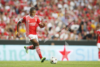 2022-08-23 - David Neres of SL Benfica in action during the UEFA Champions League, Play-offs, 2nd leg football match between SL Benfica v Dynamo Kyiv on August 23, 2022 at Estadio da Luz in Lisbon, Portugal - FOOTBALL - CHAMPIONS LEAGUE - BENFICA V DYNAMO KYIV - UEFA CHAMPIONS LEAGUE - SOCCER