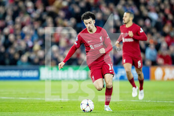 2022-11-01 - Liverpool midfielder Curtis Jones during the UEFA Champions League, Group A football match between Liverpool FC and SSC Napoli on November 1, 2022 at Anfield stadium in Liverpool, England - FOOTBALL - CHAMPIONS LEAGUE - LIVERPOOL V NAPOLI - UEFA CHAMPIONS LEAGUE - SOCCER