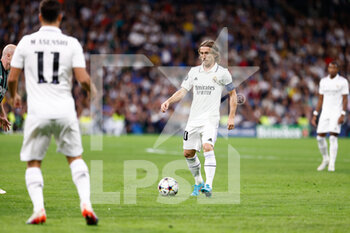 2022-11-02 - Luka Modric of Real Madrid during the UEFA Champions League, Group F football match between Real Madrid and Celtic FC on November 2, 2022 at Santiago Bernabeu stadium in Madrid, Spain - FOOTBALL - CHAMPIONS LEAGUE - REAL MADRID V CELTIC - UEFA CHAMPIONS LEAGUE - SOCCER